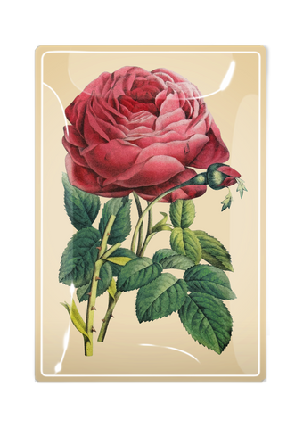 Glistening Pink Rose Decoupage Glass Tray: 4"X 6"