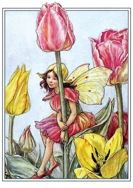 Flower Fairies - Everyday Boxed Postcards