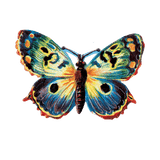 Butterfly Box - Everyday Sticker Box