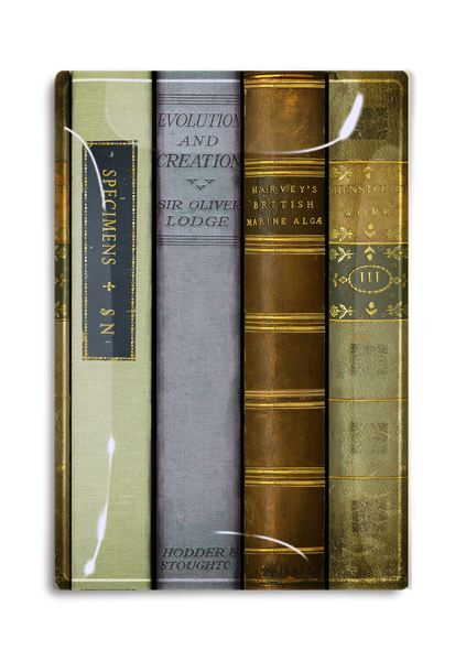 Vintage Library British Studies Decoupage Tray: 5"X 8"