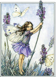 Flower Fairies - Everyday Boxed Postcards