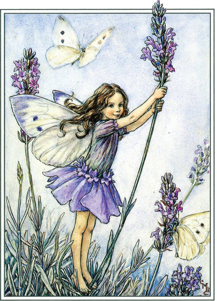 Flower Fairies - Everyday Boxed Postcards