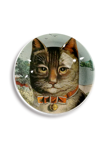 The Clever Cat Paperweight Crystal Dome Paperweight