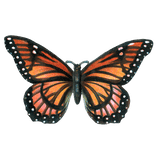Butterfly Box - Everyday Sticker Box