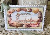 Souvenir Gift Tag Custom Sea Shells Glitter