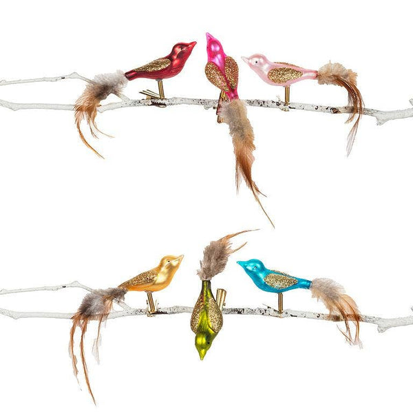 Feather Tail Bird Ornament-6Asst-5.5"L
