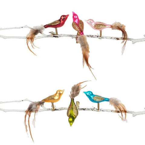 Feather Tail Bird Ornament-6Asst-5.5"L