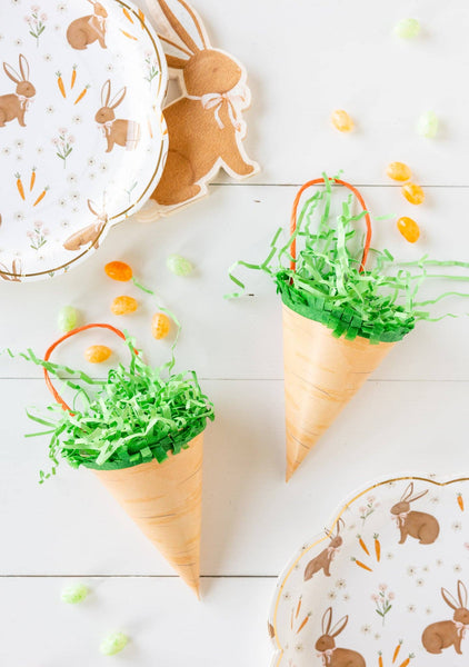 RAB1008 -  Occasions Carrot Treat Bag