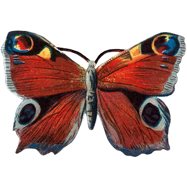 Butterfly Box - Everyday Sticker Box