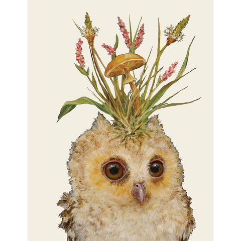 Louisa May Card