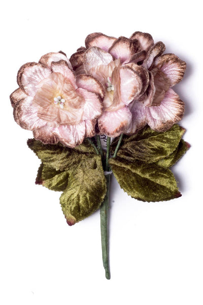 FLOWER - Delphinium Posy