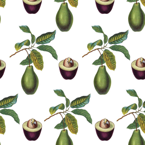 Avocado Gift Wrap