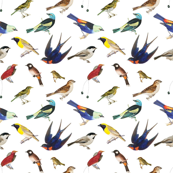 Songbirds Gift Wrap