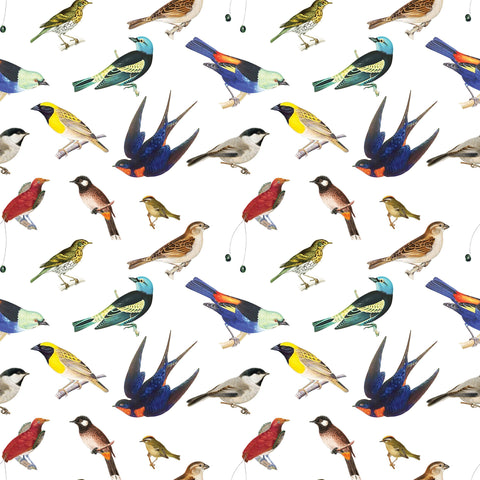 Songbirds Gift Wrap