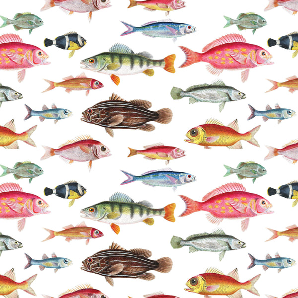 Cuvier's Fish Gift Wrap