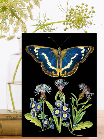 RS180P ~ Blank Botanical Greeting Card