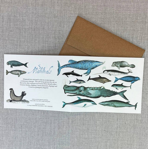 Sea Mammals Card