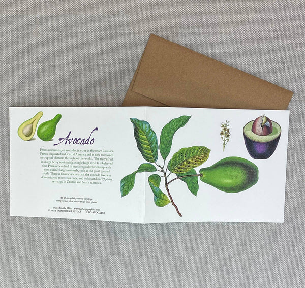 Avocado Card