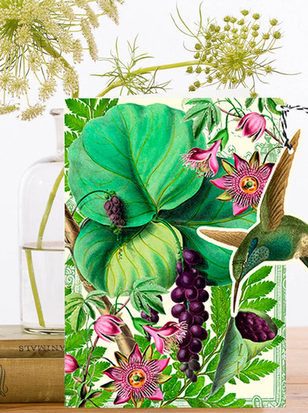 FD007P ~ Fandangle greeting card