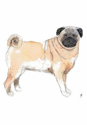Pug