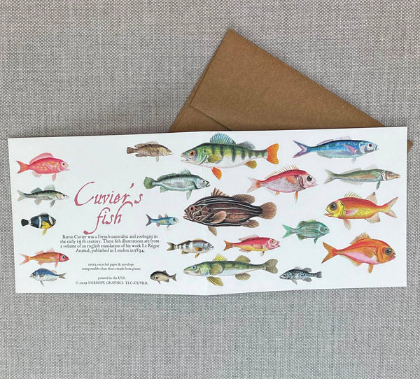 Cuvier's Fish Card