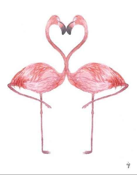Flamingos