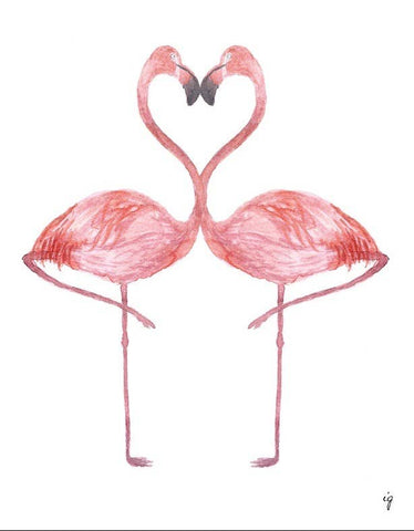 Flamingos