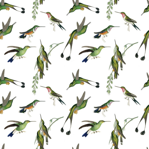 Hummingbird Gift Wrap