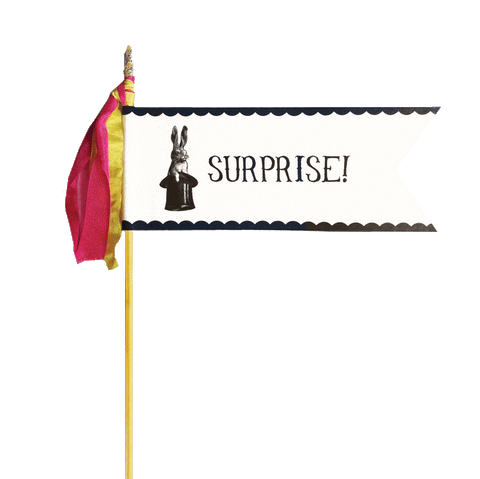 Deluxe Glitter Pennant Surprise