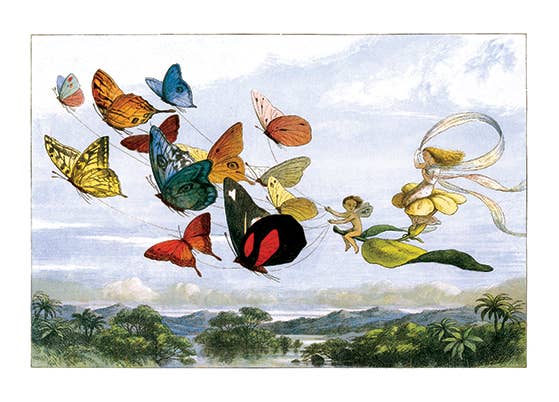 Fairy Flight with Butterflies