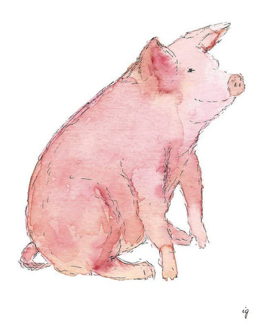 Pig
