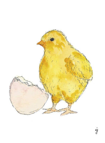 Easter Chick