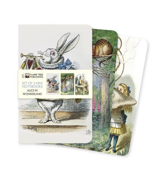 Alice In Wonderland Set of 3 Mini Notebooks