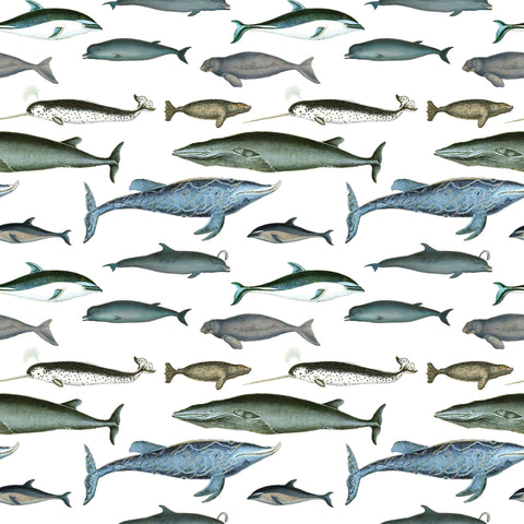 Sea Mammals Gift Wrap