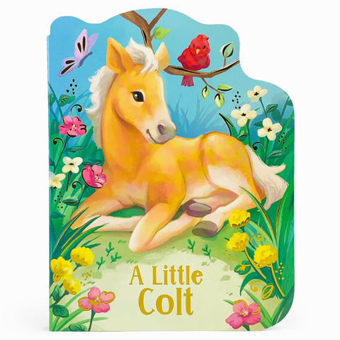 A Little Colt