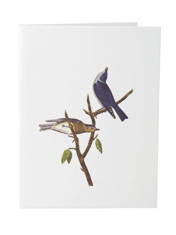Blue Birds Greeting Card