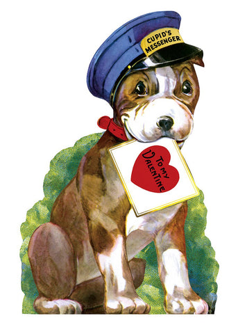 Cupid' Messenger Valentine