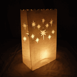 TWINKLE STAR LUMINARY BAGS