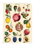 Le Jardin Mini Notebooks