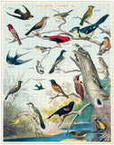 Vintage Style Puzzle-Audobon