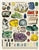 Vintage Style Puzzle-Minerals
