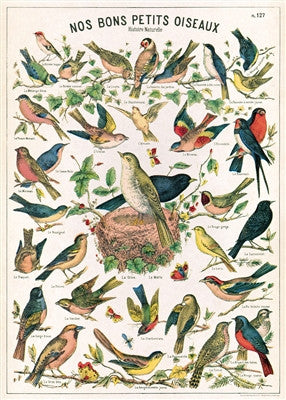 Bird Chart Wrap