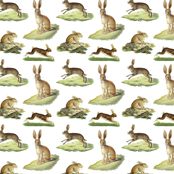 Rabbits Gift Wrap