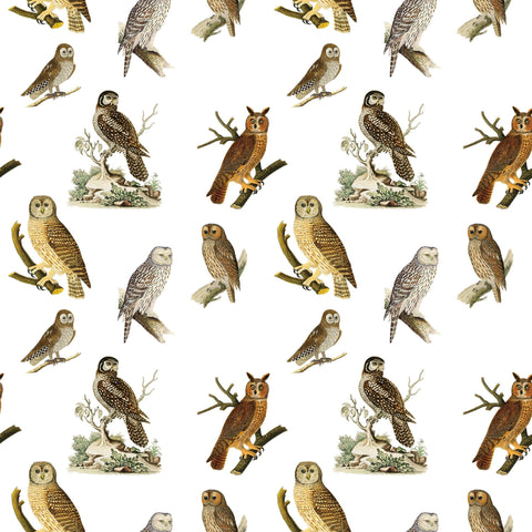 Owls Gift Wrap