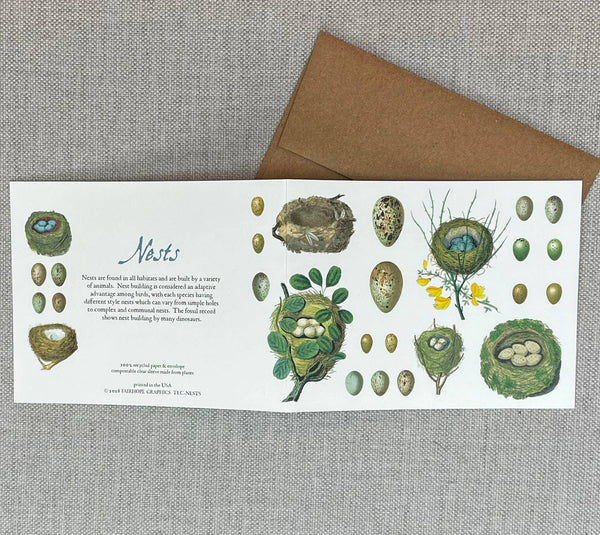 Bird Nests Card