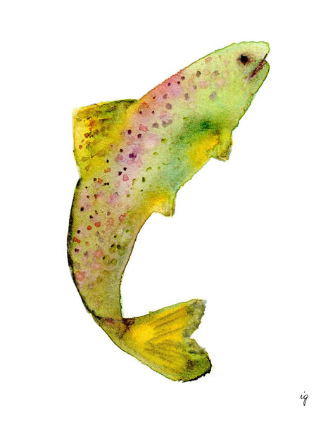 Salmon