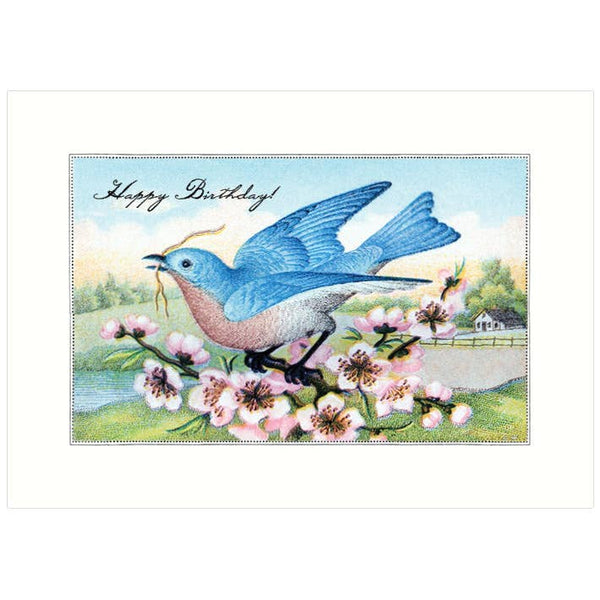 Bluebird | Birthday Card