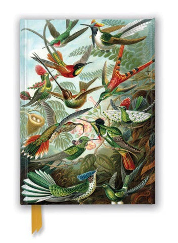 Ernst Haeckel: Hummingbirds Journal