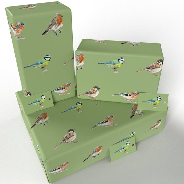 Native Birds Wrapping Paper • 100% Recycled • Vegan Ink