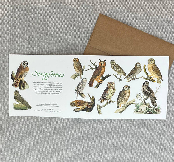 Owls Card
